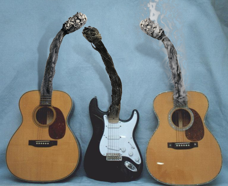 Guitars